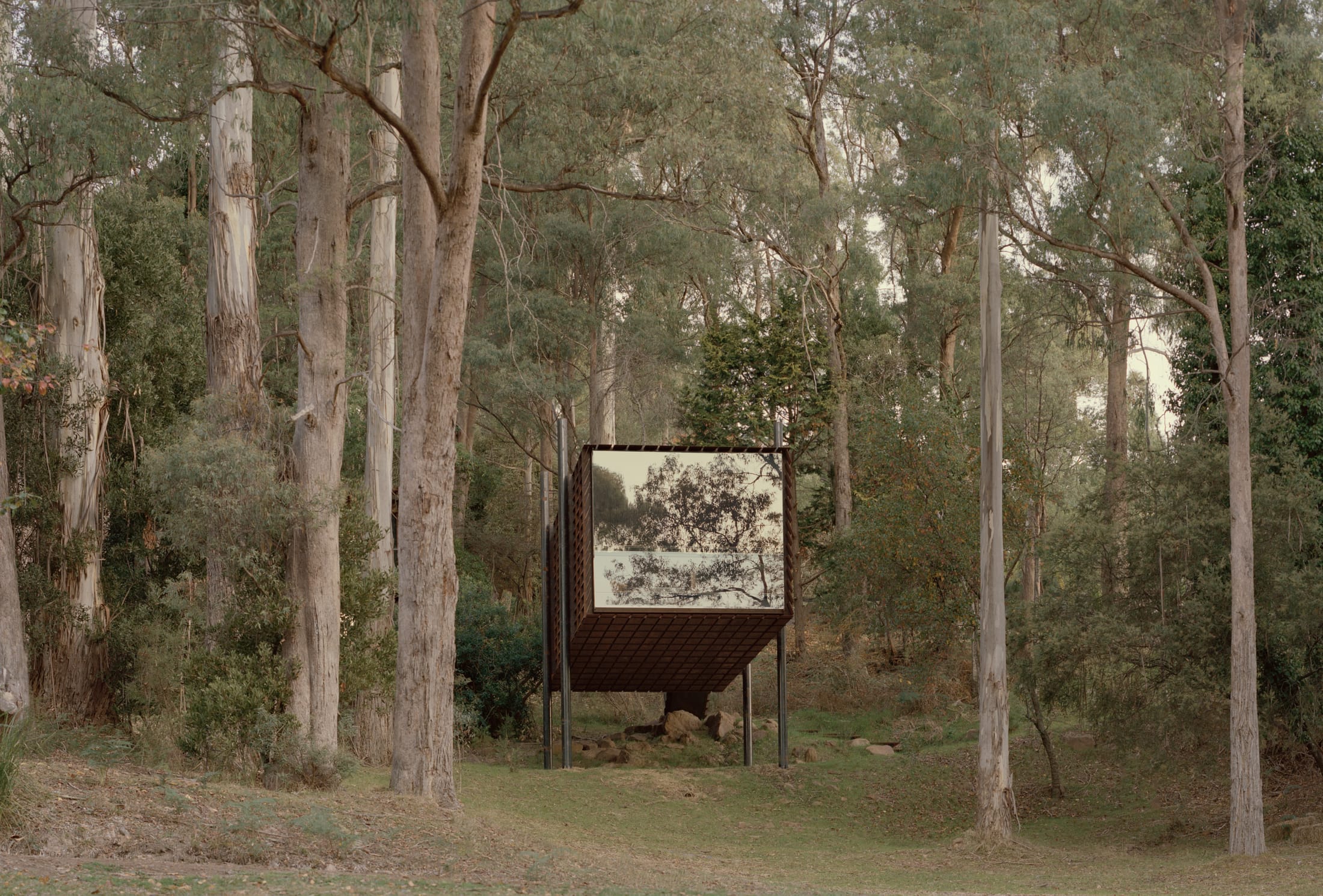 Yellowtrace Houses Awards 2025 New House Under 200sqm Sawmill Treehouse Robbie Walker Photo Tasha Tylee 01 Opt80