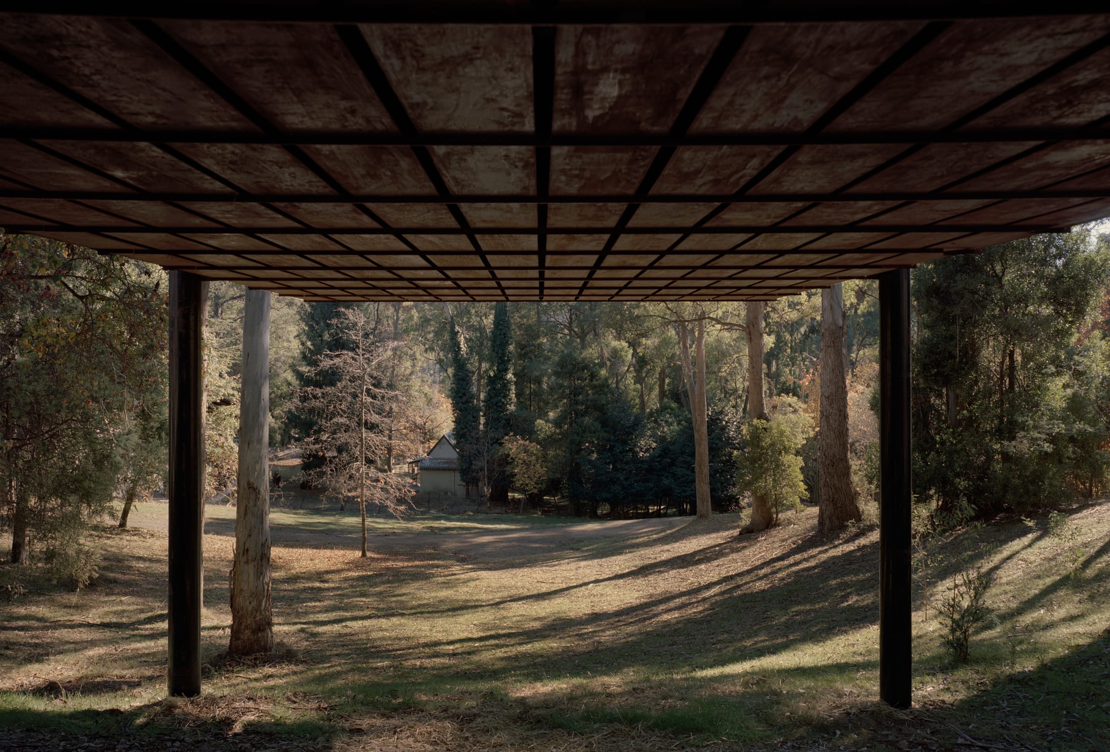 Yellowtrace Houses Awards 2025 New House Under 200sqm Sawmill Treehouse Robbie Walker Photo Tasha Tylee 02 Opt80