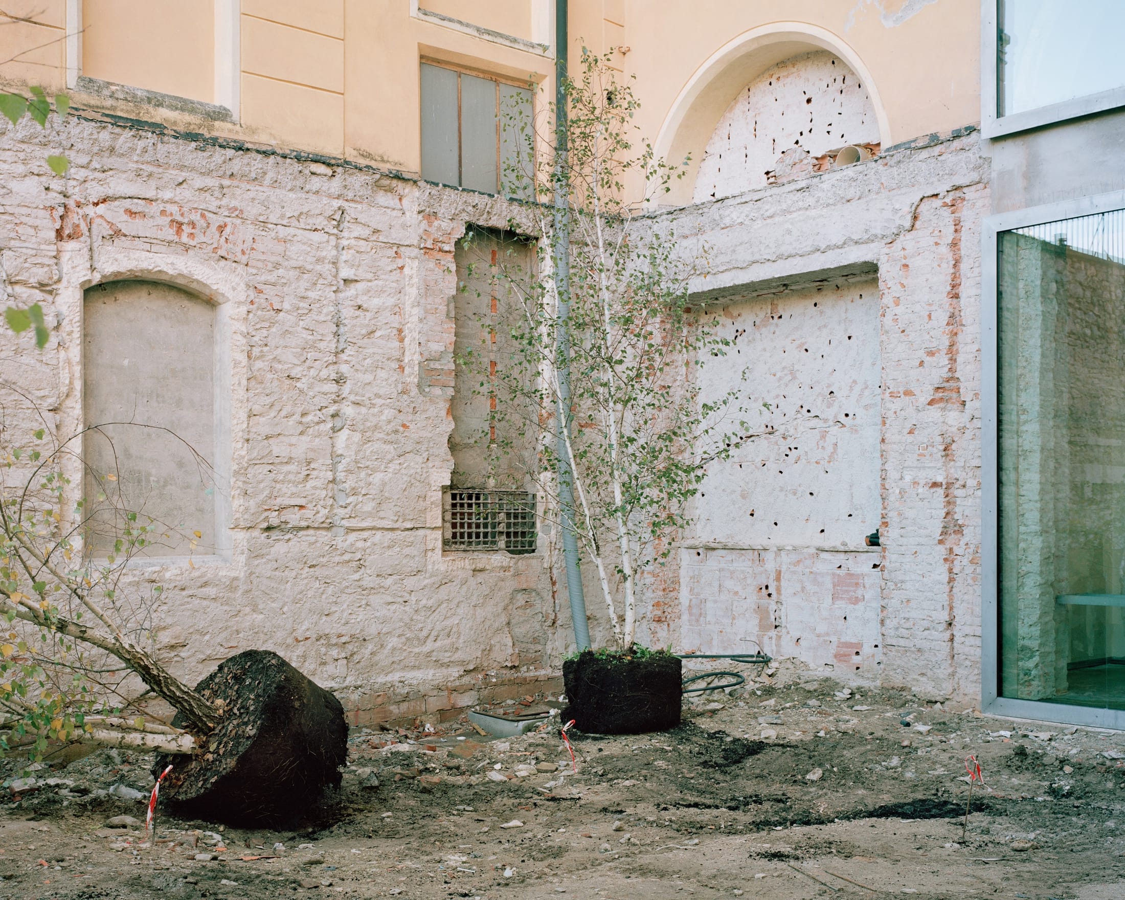 Yellowtrace Amaa Caffe Nazionale Photo Rory Gardiner 05 Opt80