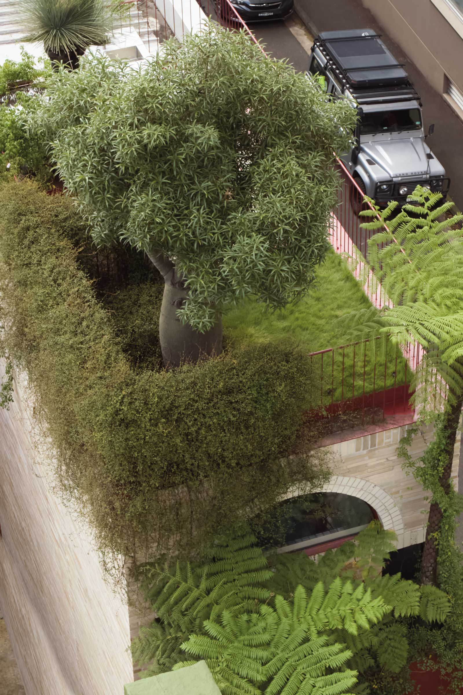 Yellowtrace Dangar Barin Smith Natural Oder Book Vertical Grotto Waterloo St 01