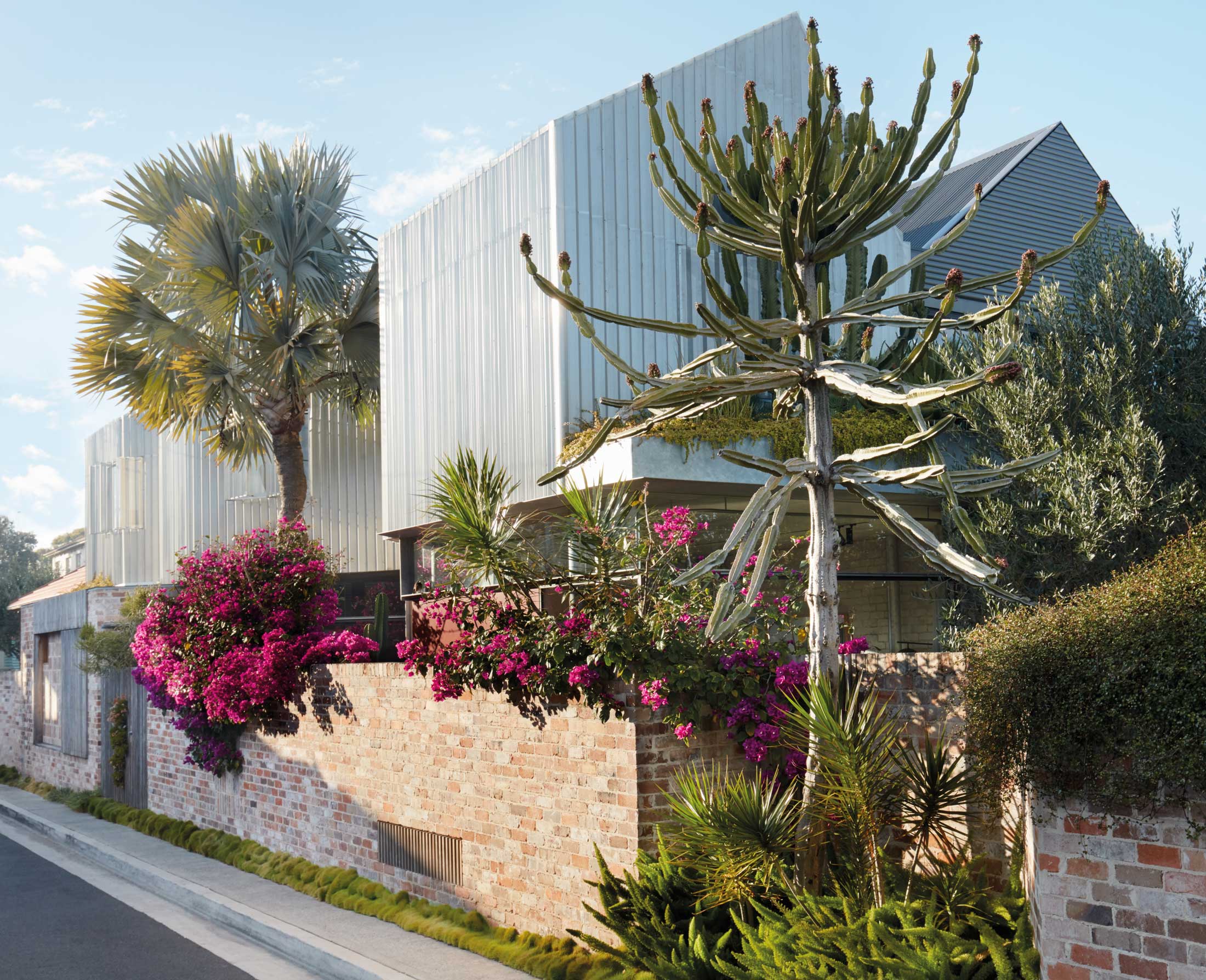 Yellowtrace Dangar Barin Smith Natural Oder Book Urban Refuge Bizmark