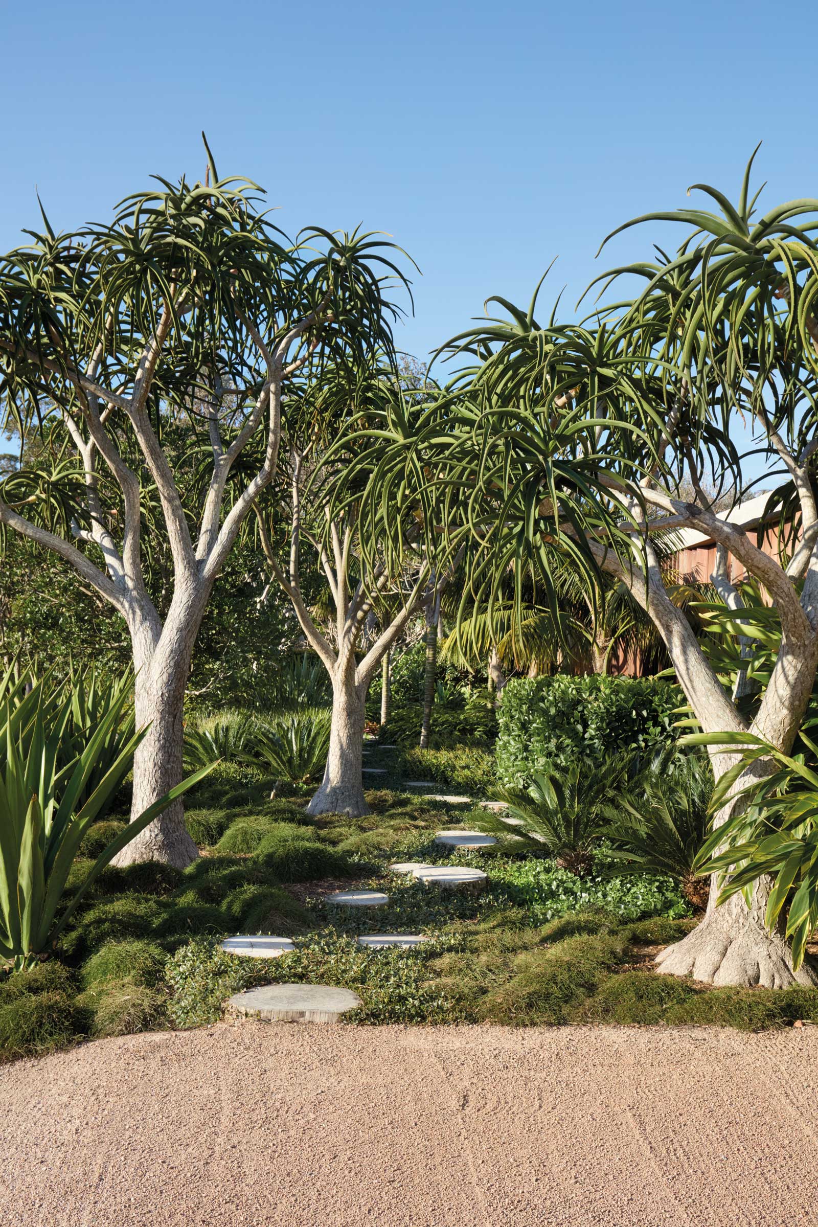 Yellowtrace Dangar Barin Smith Natural Oder Book Generous Gestures Project 20 Mollymook 02