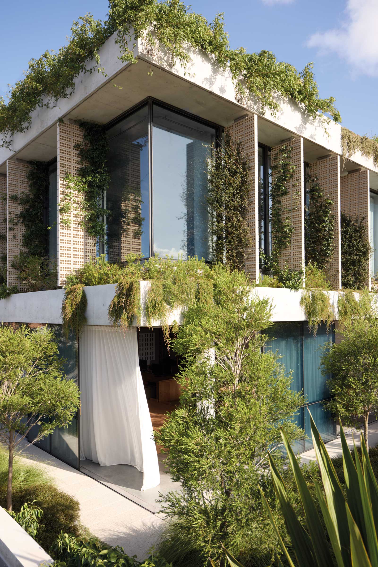 Yellowtrace Dangar Barin Smith Natural Oder Book Rochester St Office 02