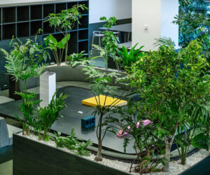 Yellowtrace Ddaa Kokuyo Dig Hq Tokyo Office Design Japan Creative Workspace