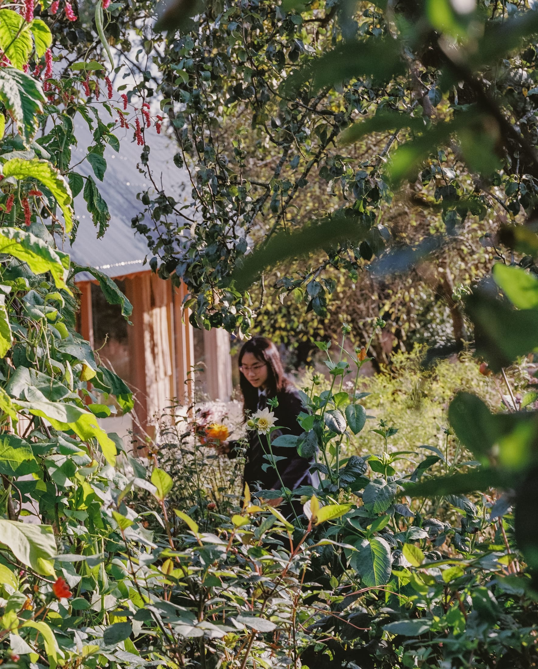 Yellowtrace Okra The Apple House Materially Innovative Education And Wellbeing Hub Set In Previously Neglected Orchard Photo Nick Dearden 20 Opt80
