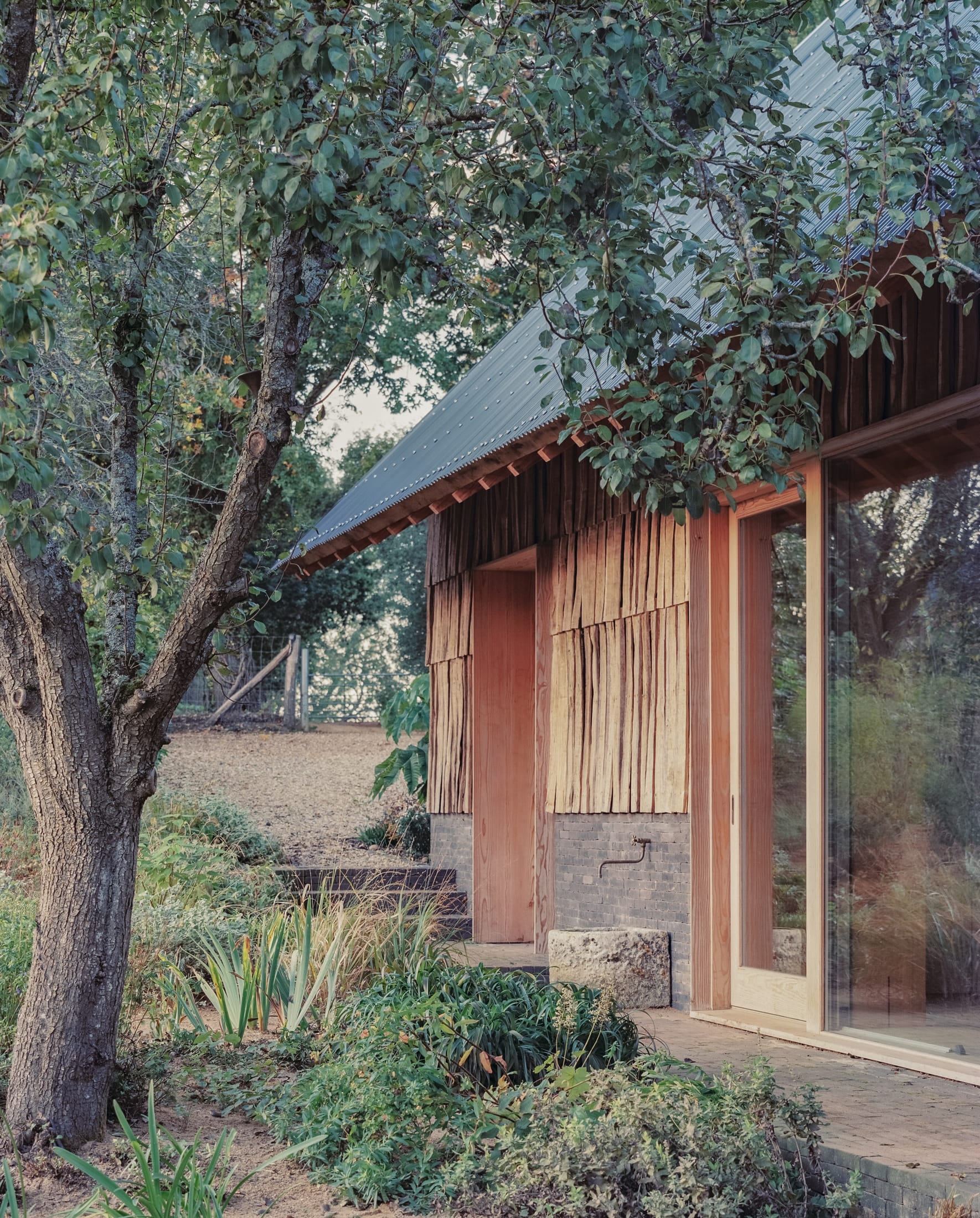 Yellowtrace Okra The Apple House Materially Innovative Education And Wellbeing Hub Set In Previously Neglected Orchard Photo Nick Dearden 24 Opt80
