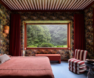 Yellowtrace Ysg Plantasia Jamberoo House Reginal Australia Home