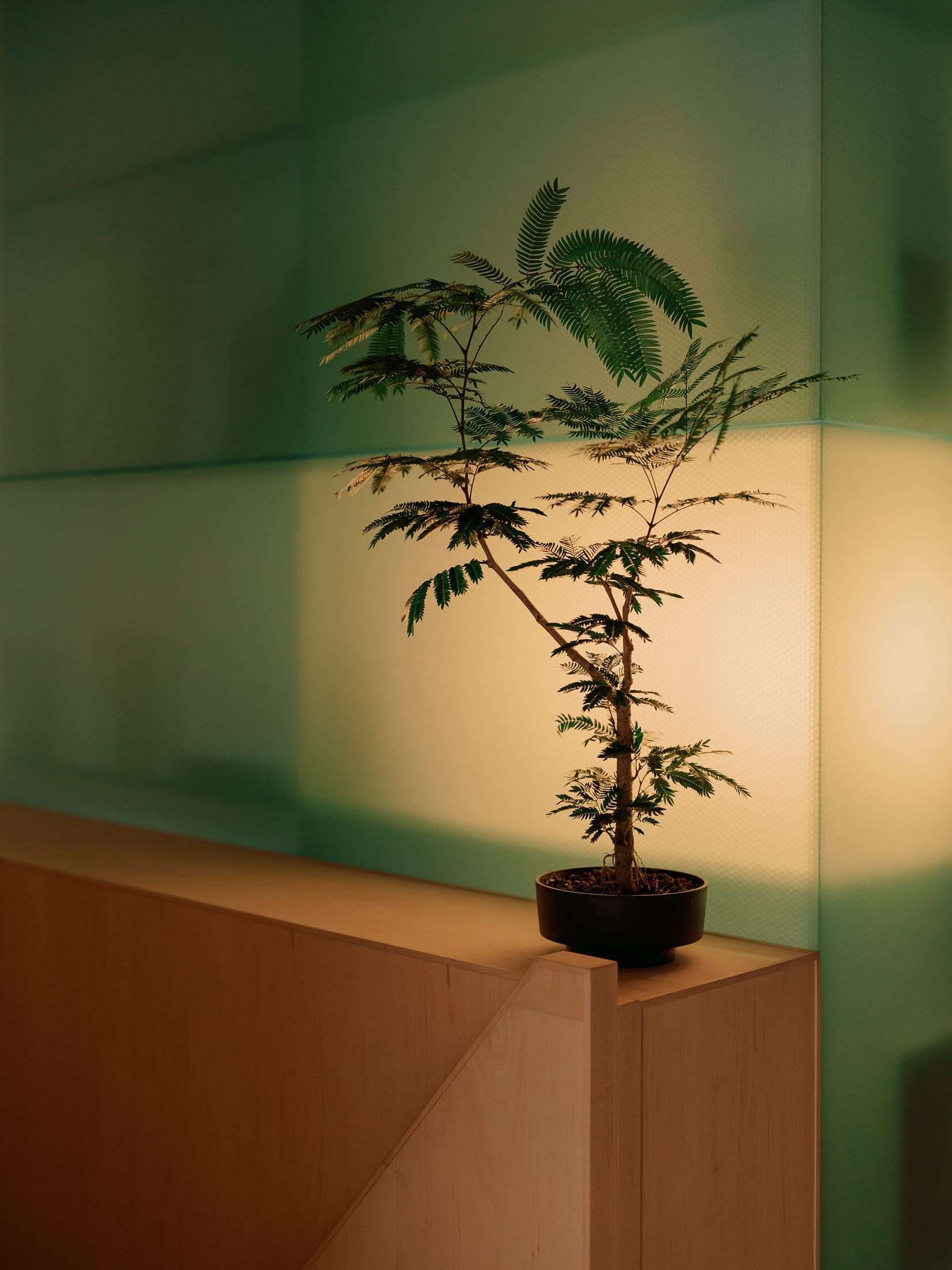 Yellowtrace Nice Projects Artificial Life Institute Kyoto Office Design Photo Edvinas Bruzas 65 Opt80