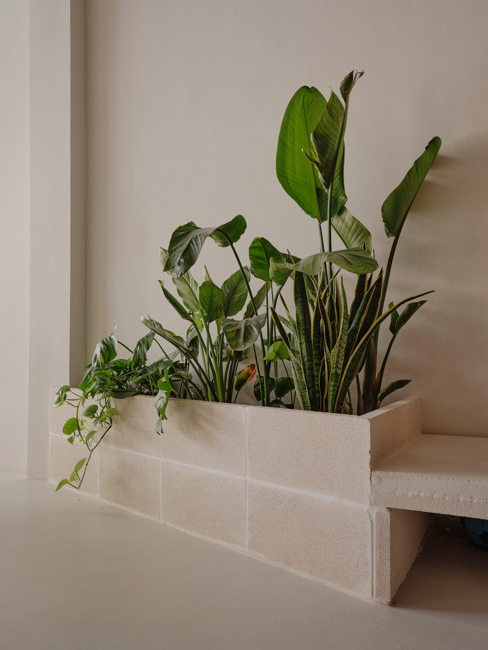 Yellowtrace Paloma Bau And Tot Studio Sornells 21 Valencia Creative Workspace Inspired By Tokyo Architecture Photo David Zarzoso 15 Opt80