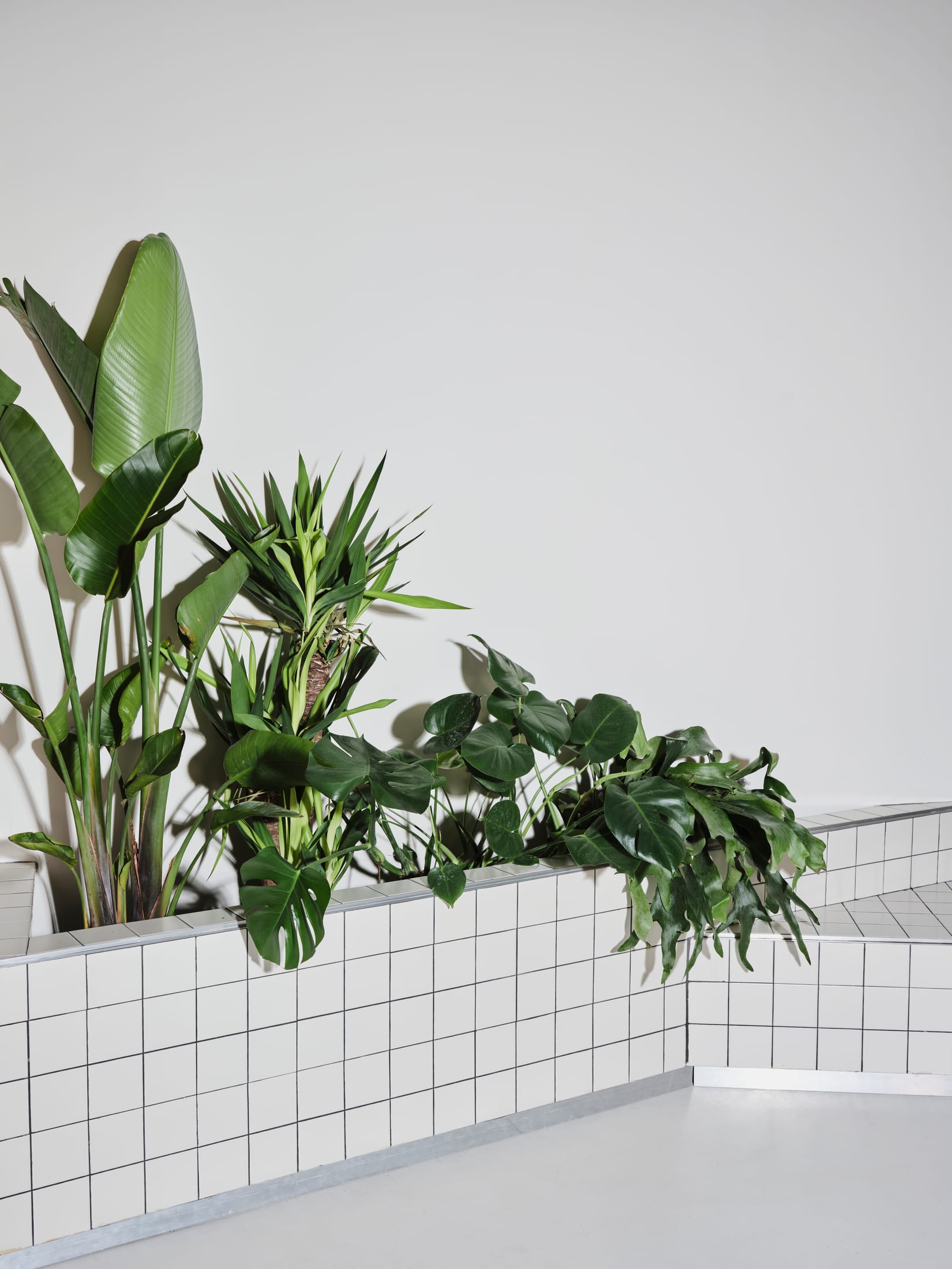 Yellowtrace Paloma Bau And Tot Studio Sornells 21 Valencia Creative Workspace Inspired By Tokyo Architecture Photo David Zarzoso 33 Opt80