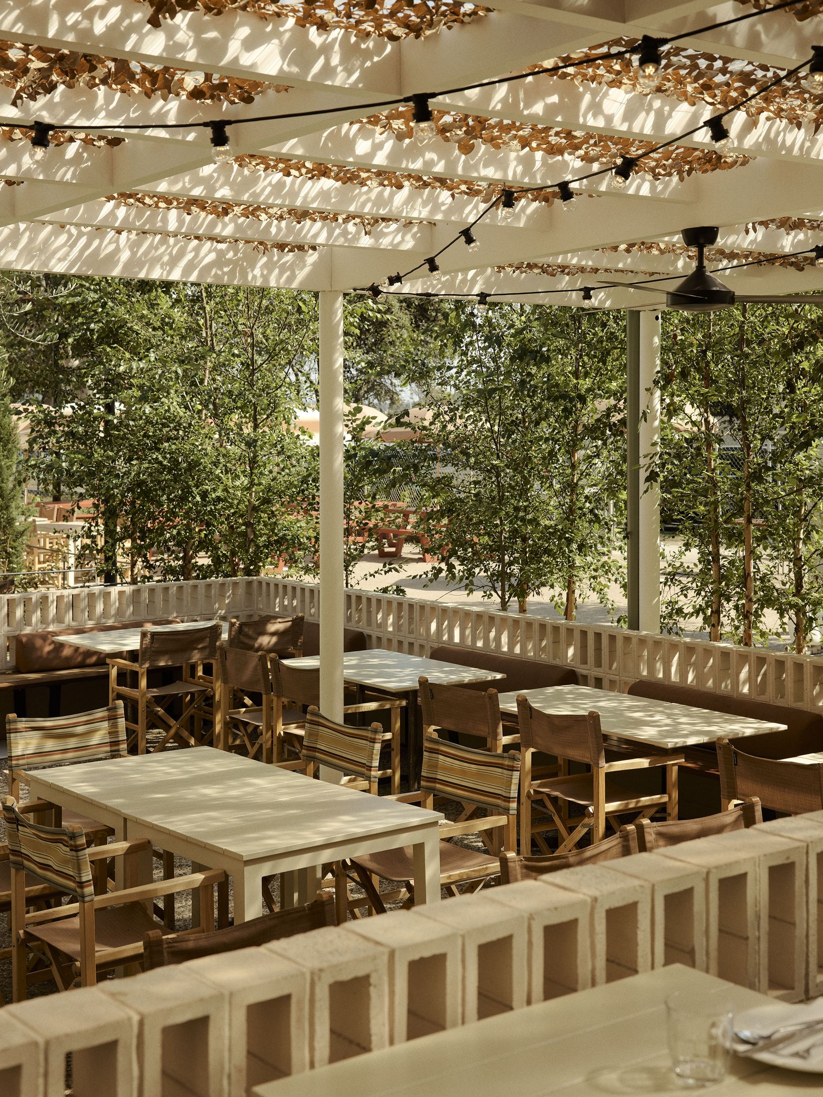 Yellowtrace Akin Atelier Club Rose Bay Merivale Photo Anson Smart 20 Opt80