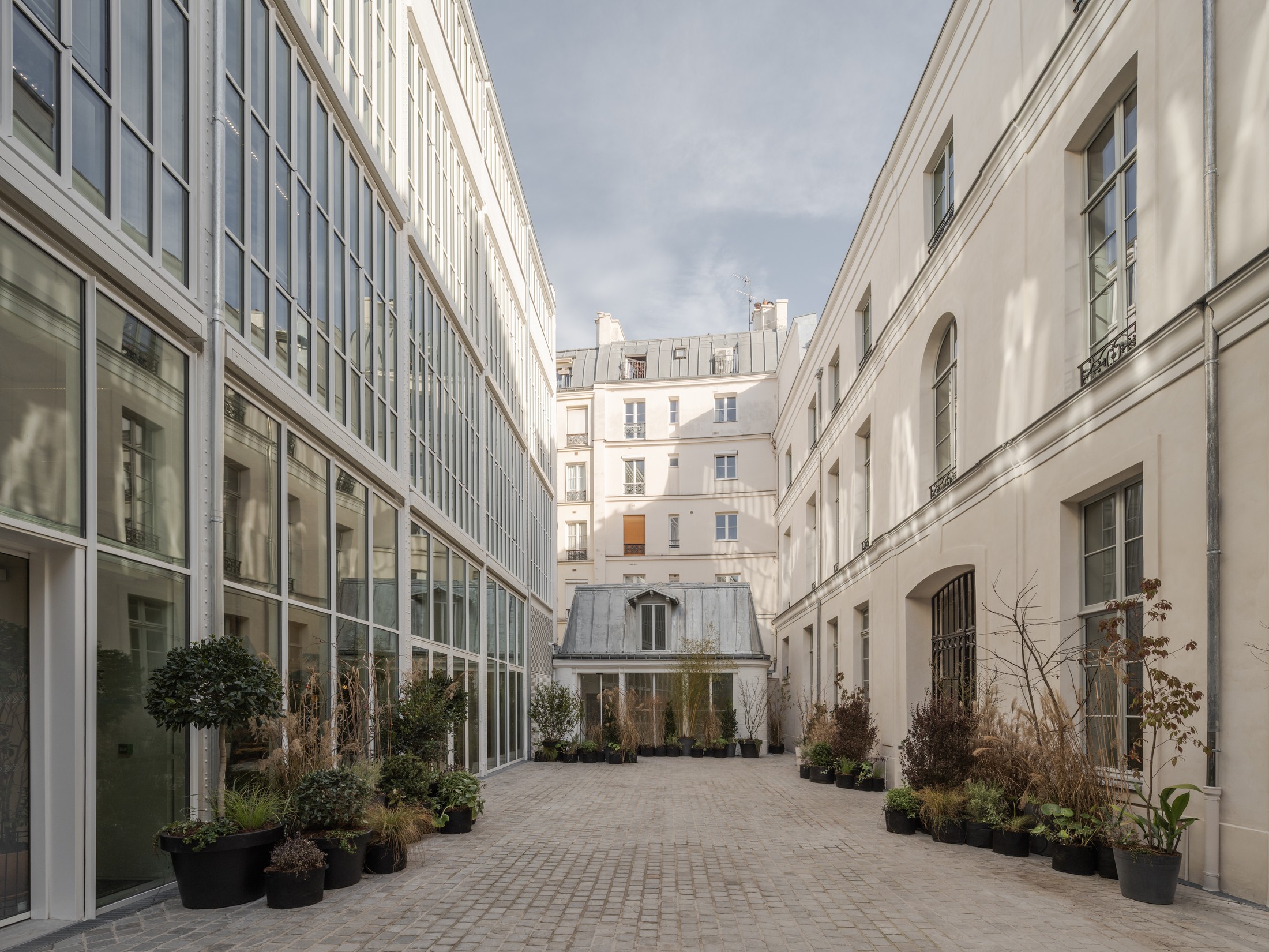 Yellowtrace Cigue Caudalie Rue Pavee 02 Photo Maris Mezulis 02 Opt90