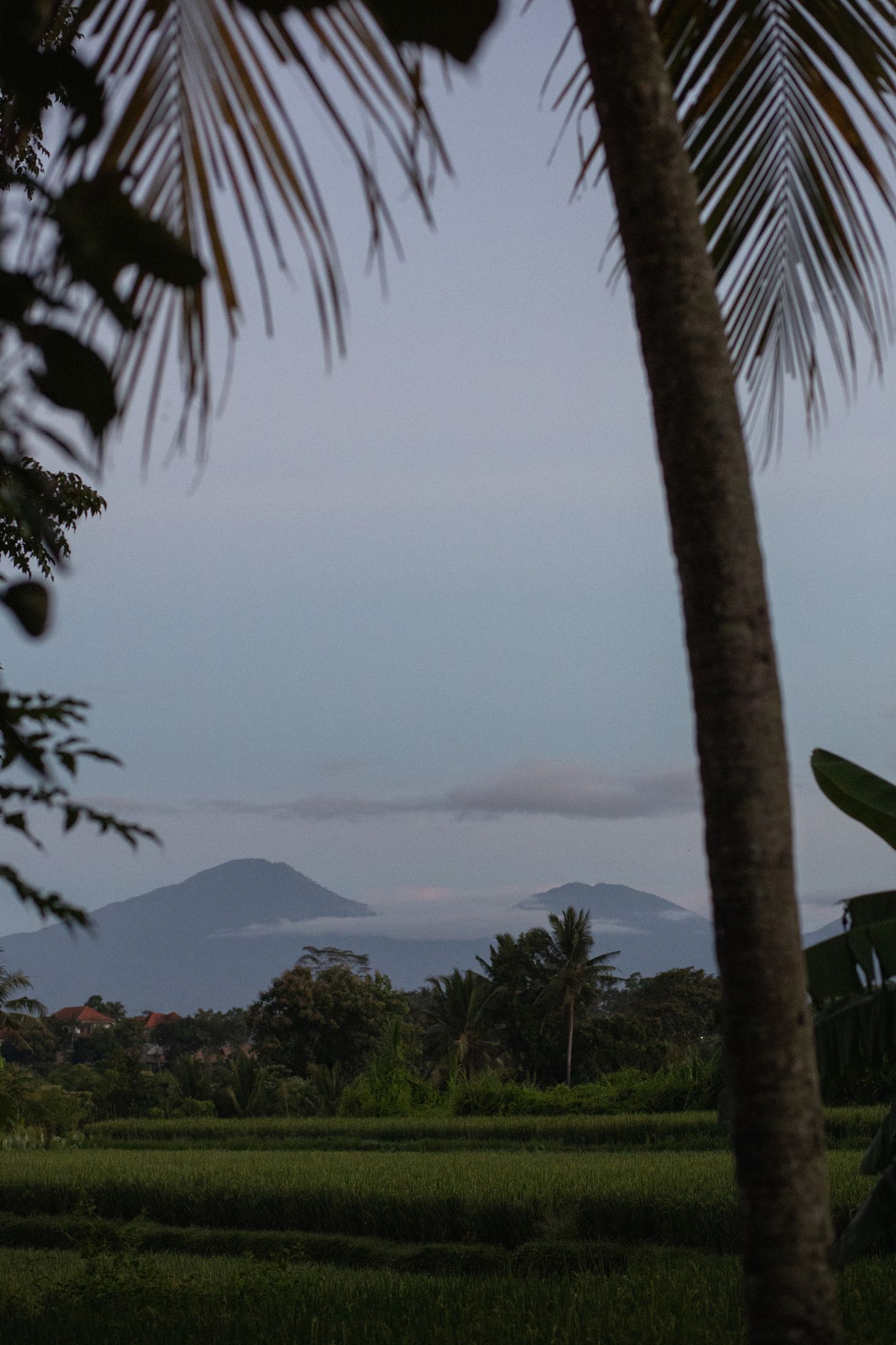 Yellowtrace Ysg Moon Gang Ubud Extras Photo Tomasso Riva 06 Opt80