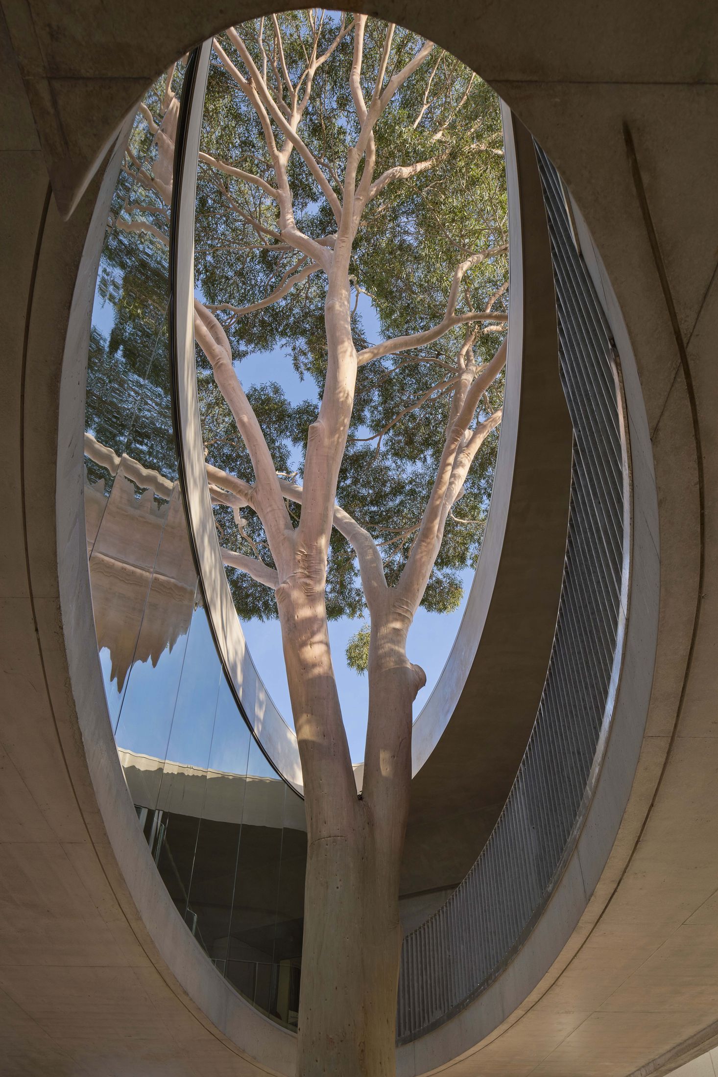 Yellowtrace Farrell Wray Architects Gallery For A Tree Marcellin Flyover Photo Peter Clarke 06 Opt80