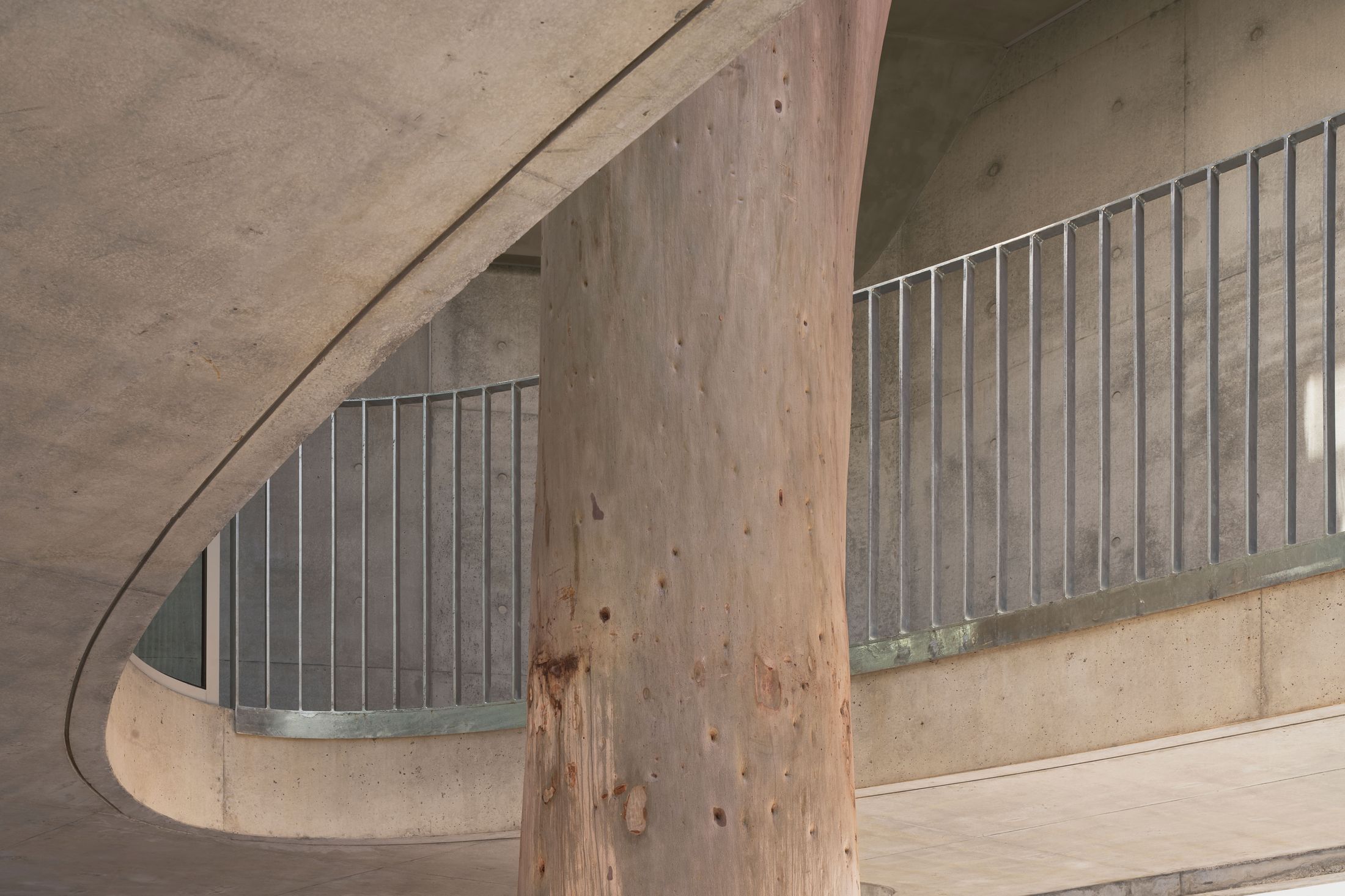 Yellowtrace Farrell Wray Architects Gallery For A Tree Marcellin Flyover Photo Peter Clarke 07 Opt80