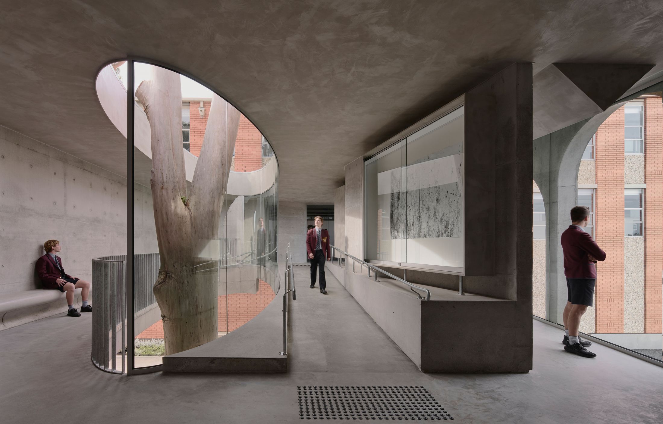 Yellowtrace Farrell Wray Architects Gallery For A Tree Marcellin Flyover Photo Peter Clarke 10 Opt80