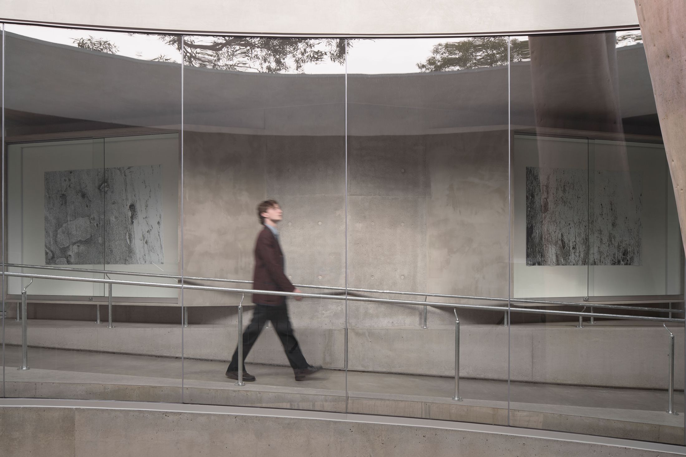 Yellowtrace Farrell Wray Architects Gallery For A Tree Marcellin Flyover Photo Peter Clarke 11 Opt80