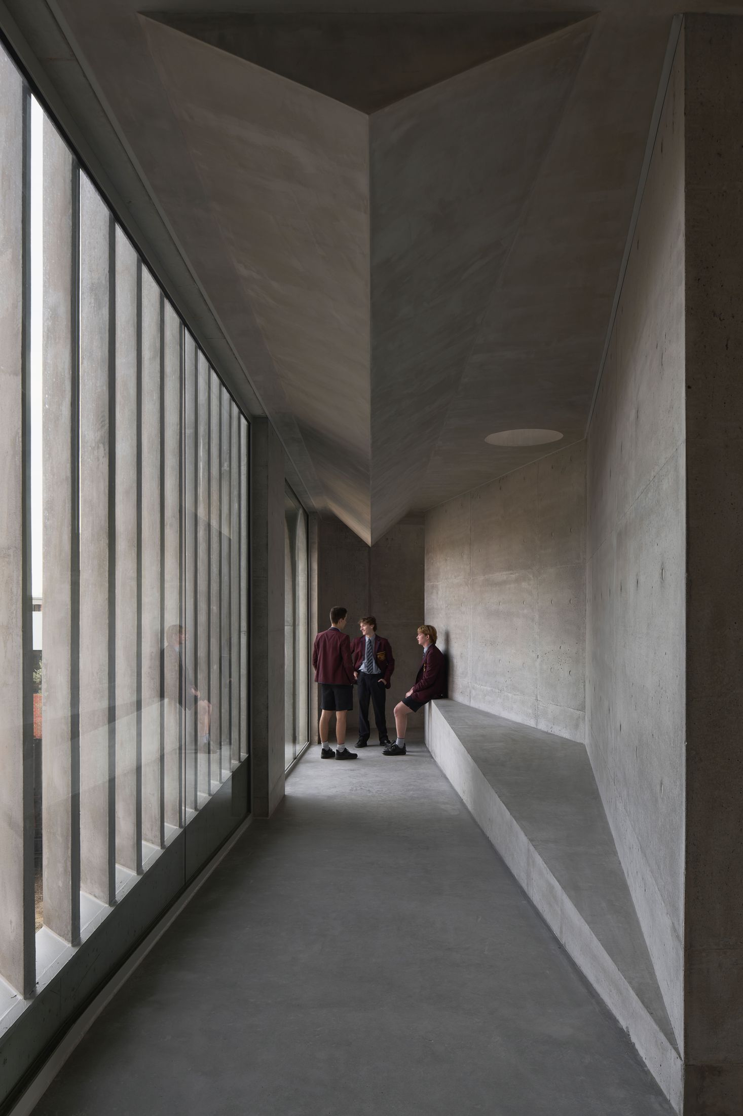 Yellowtrace Farrell Wray Architects Gallery For A Tree Marcellin Flyover Photo Peter Clarke 19 Opt80