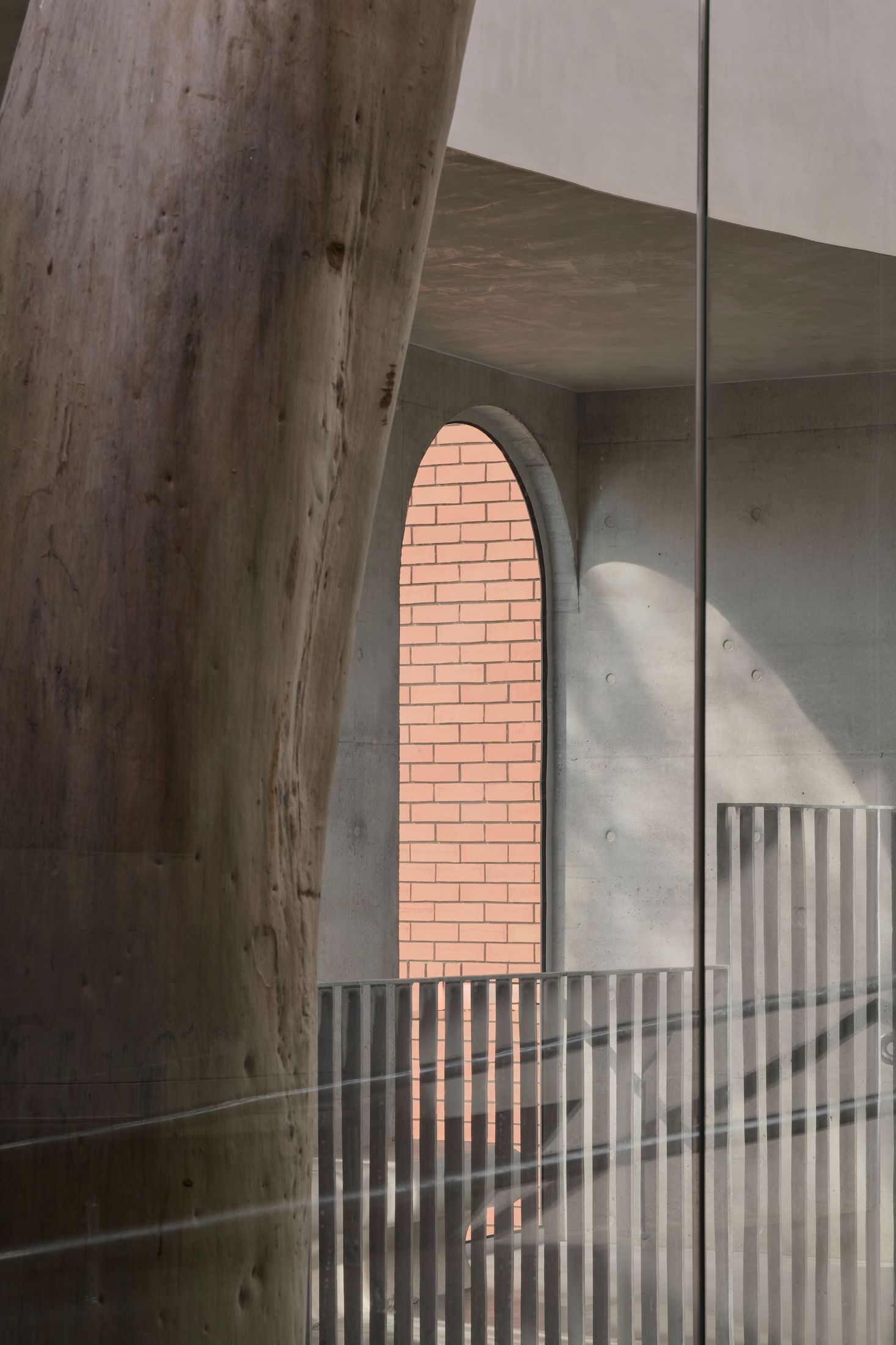 Yellowtrace Farrell Wray Architects Gallery For A Tree Marcellin Flyover Photo Peter Clarke 21 Opt80
