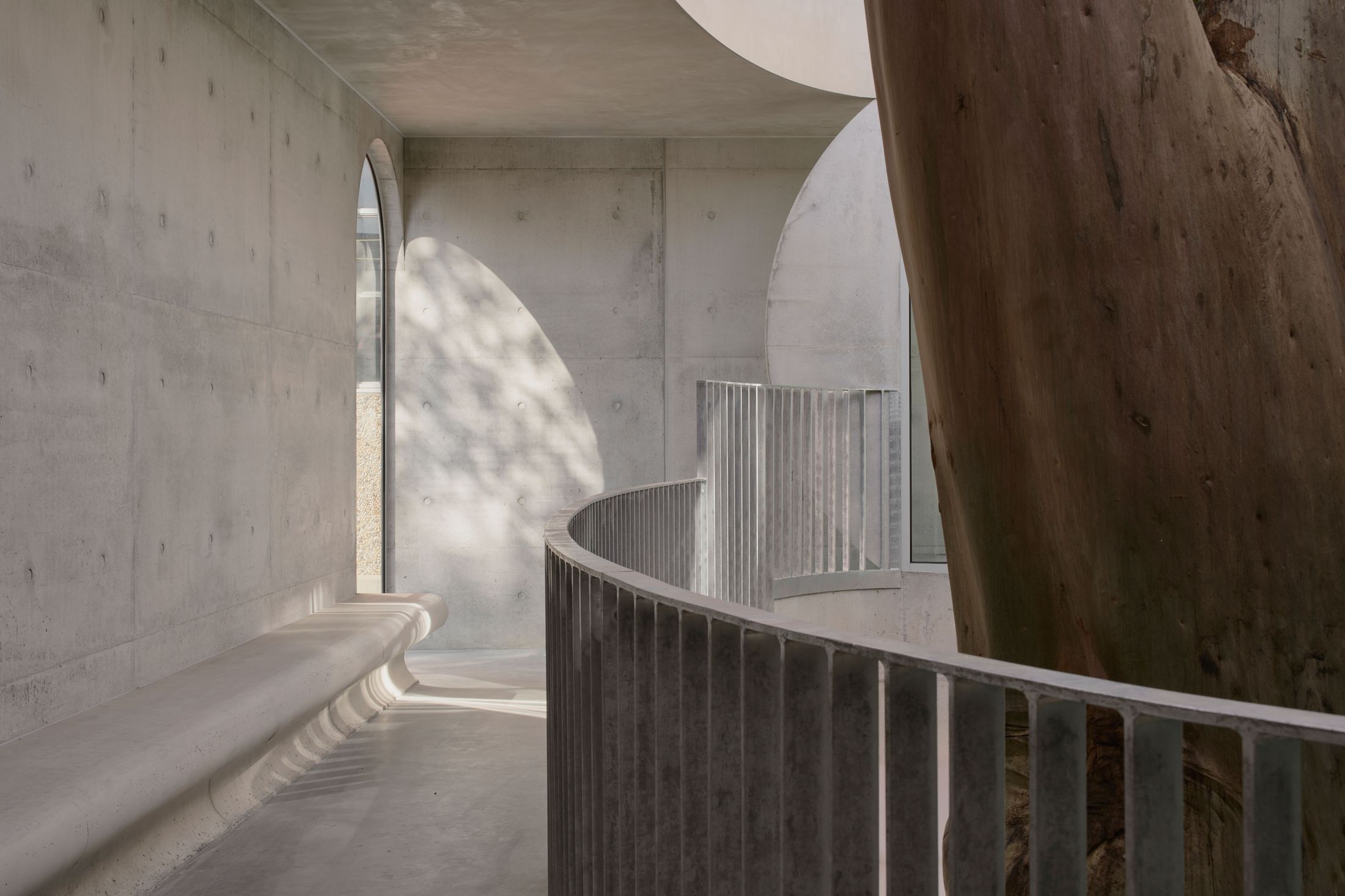 Yellowtrace Farrell Wray Architects Gallery For A Tree Marcellin Flyover Photo Peter Clarke 23 Opt80