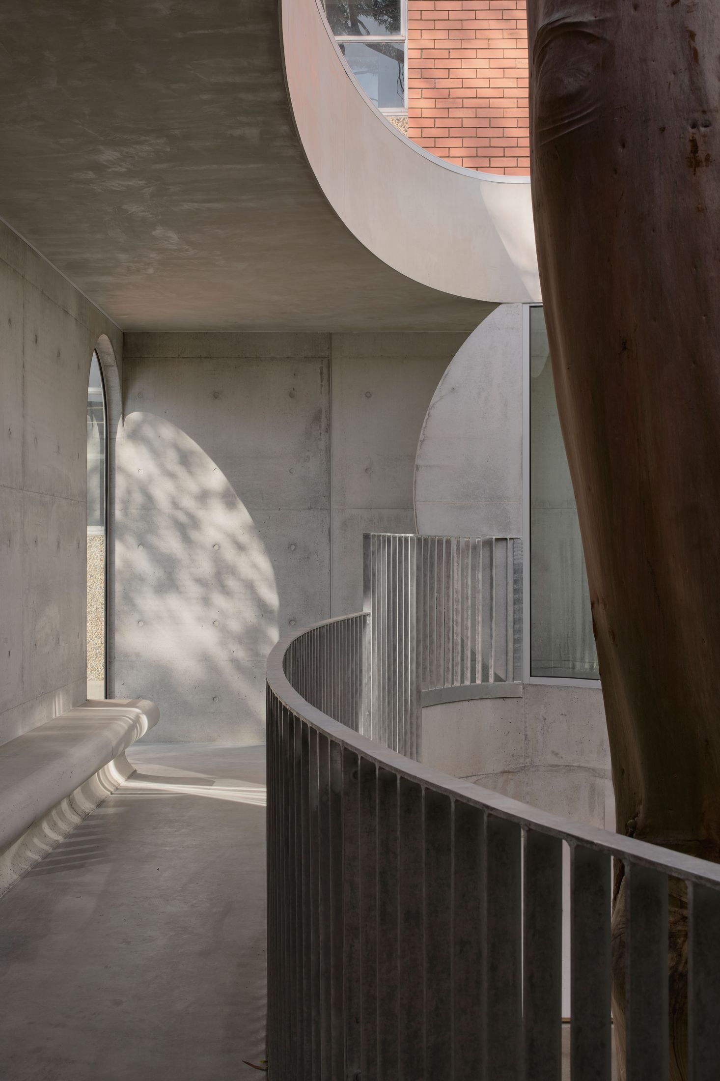Yellowtrace Farrell Wray Architects Gallery For A Tree Marcellin Flyover Photo Peter Clarke 24 Opt80
