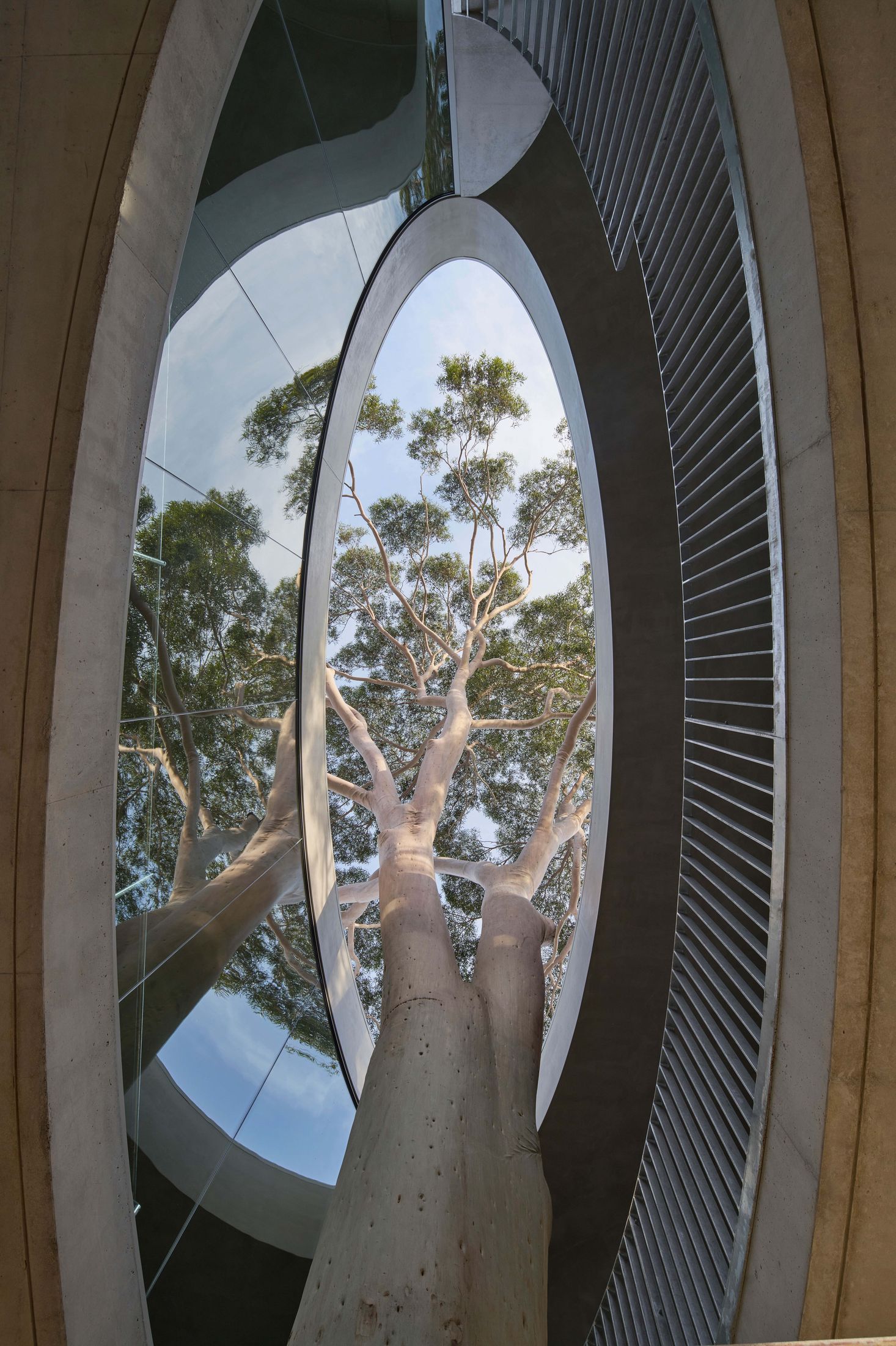 Yellowtrace Farrell Wray Architects Gallery For A Tree Marcellin Flyover Photo Peter Clarke 02 Opt80
