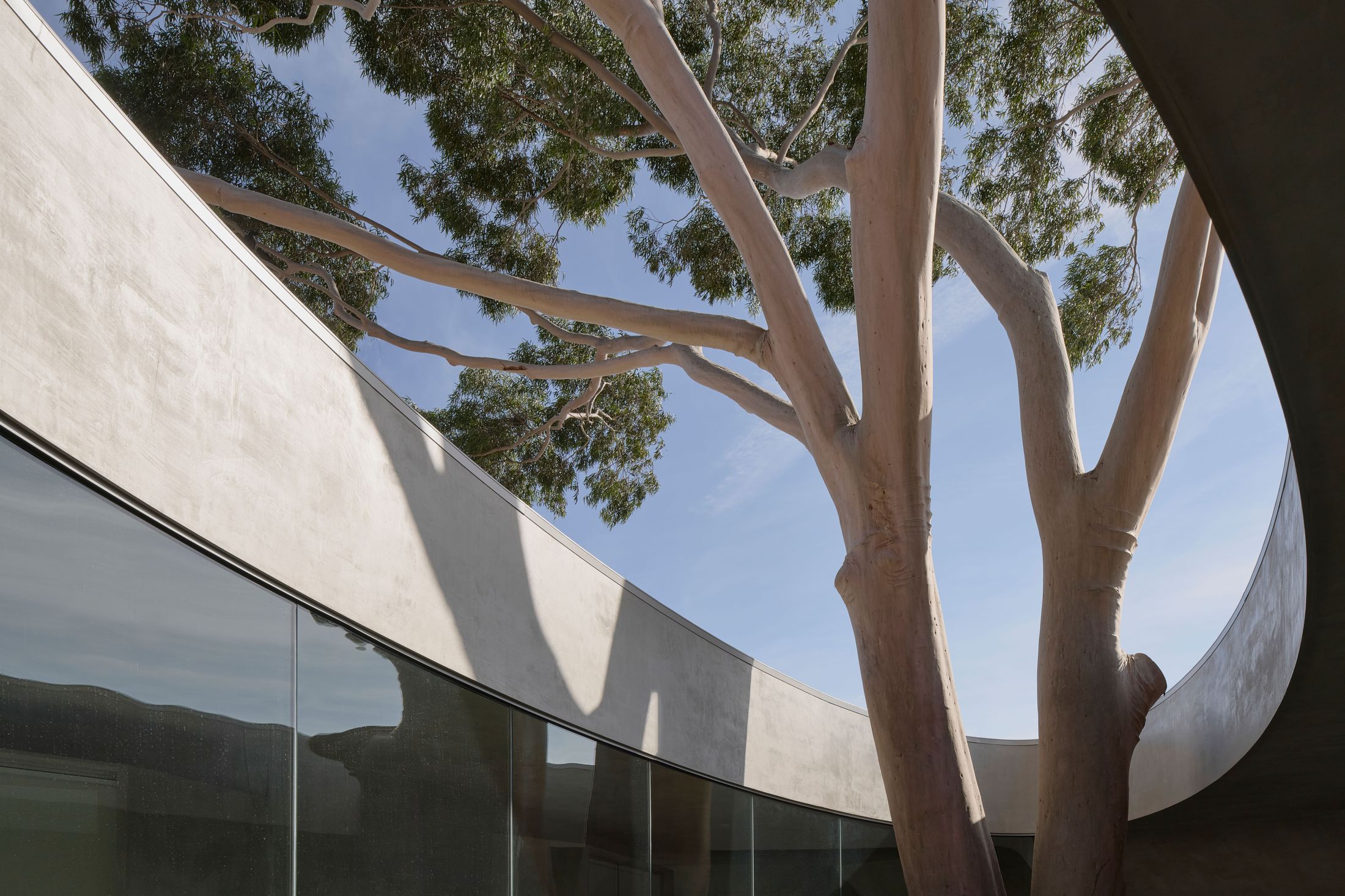 Yellowtrace Farrell Wray Architects Gallery For A Tree Marcellin Flyover Photo Peter Clarke 33 Opt80