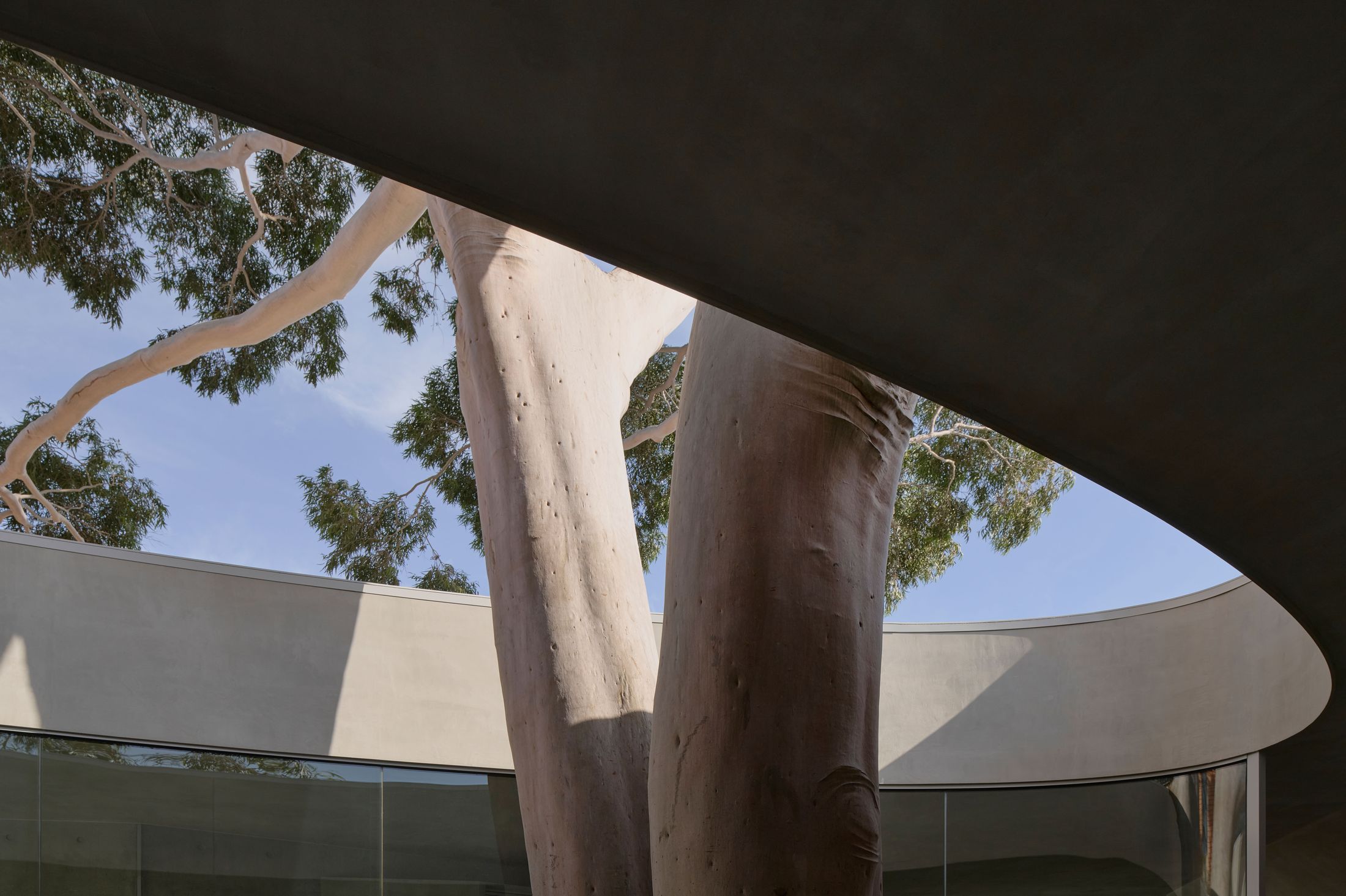 Yellowtrace Farrell Wray Architects Gallery For A Tree Marcellin Flyover Photo Peter Clarke 34 Opt80
