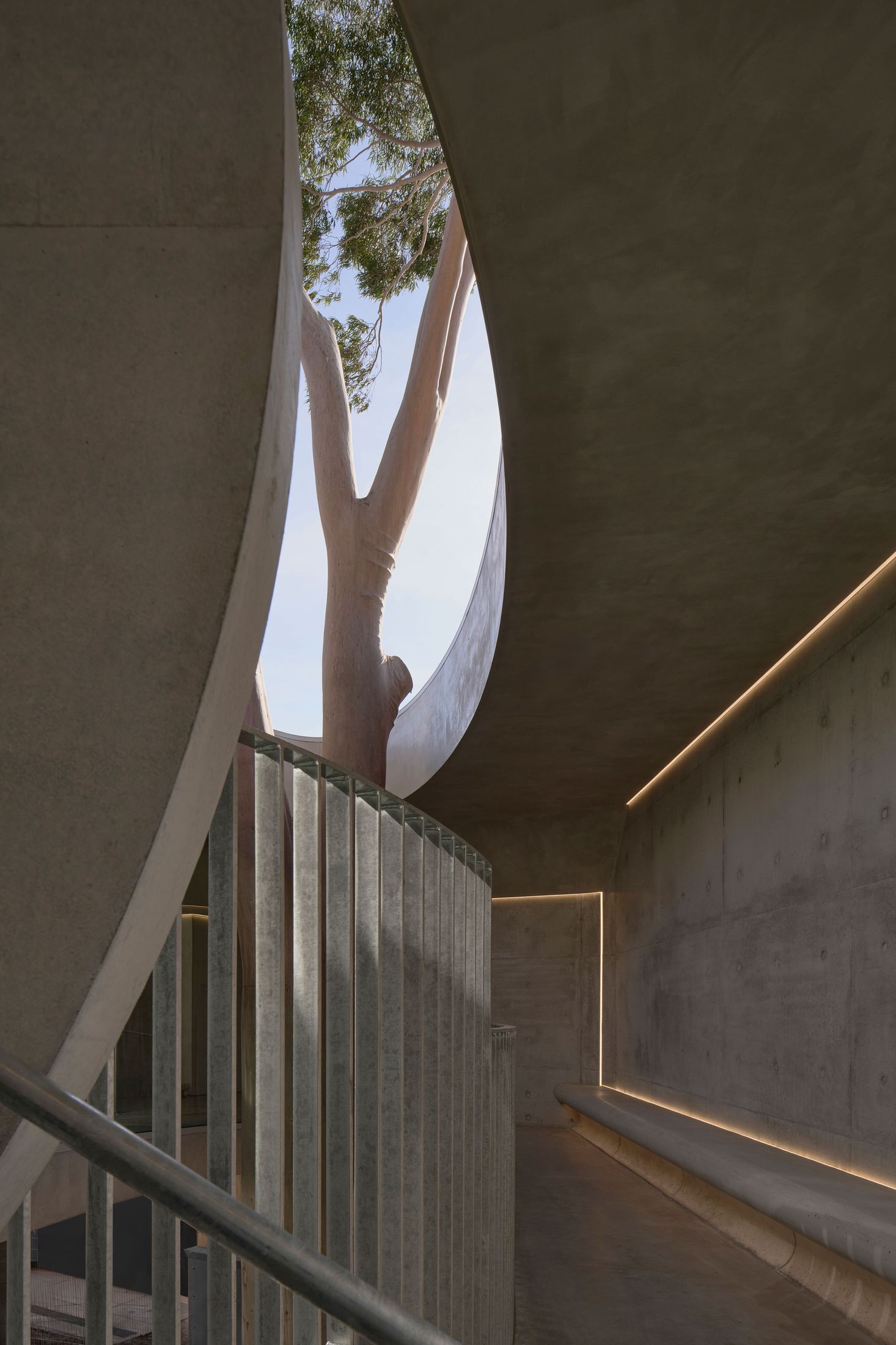 Yellowtrace Farrell Wray Architects Gallery For A Tree Marcellin Flyover Photo Peter Clarke 36 Opt80