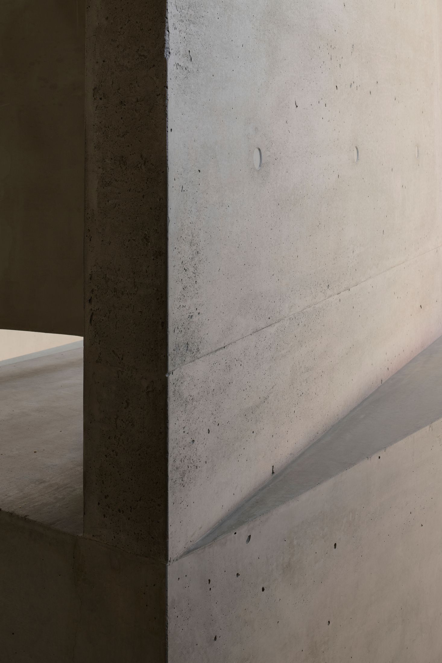 Yellowtrace Farrell Wray Architects Gallery For A Tree Marcellin Flyover Photo Peter Clarke 42 Opt80