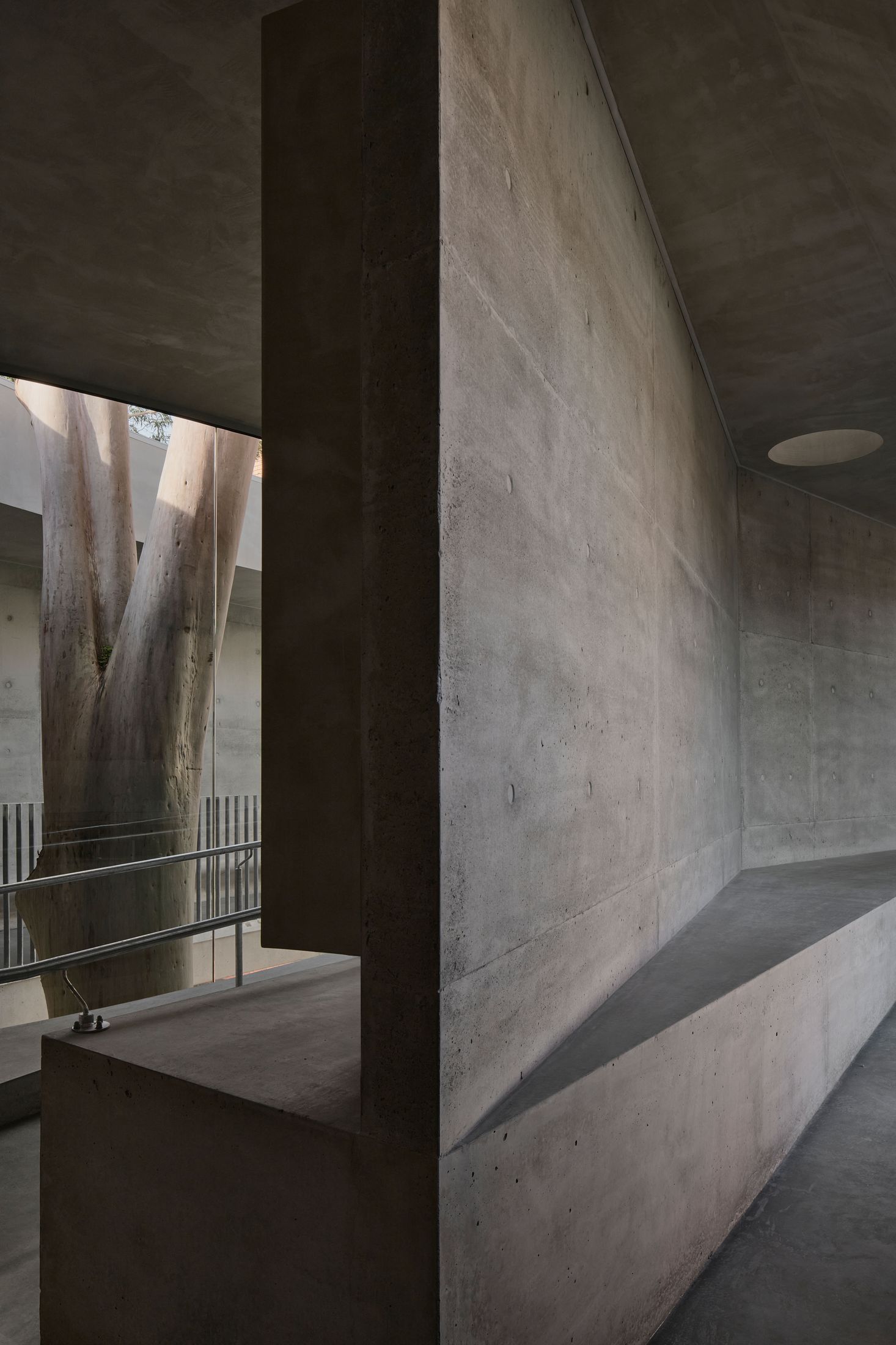 Yellowtrace Farrell Wray Architects Gallery For A Tree Marcellin Flyover Photo Peter Clarke 43 Opt80