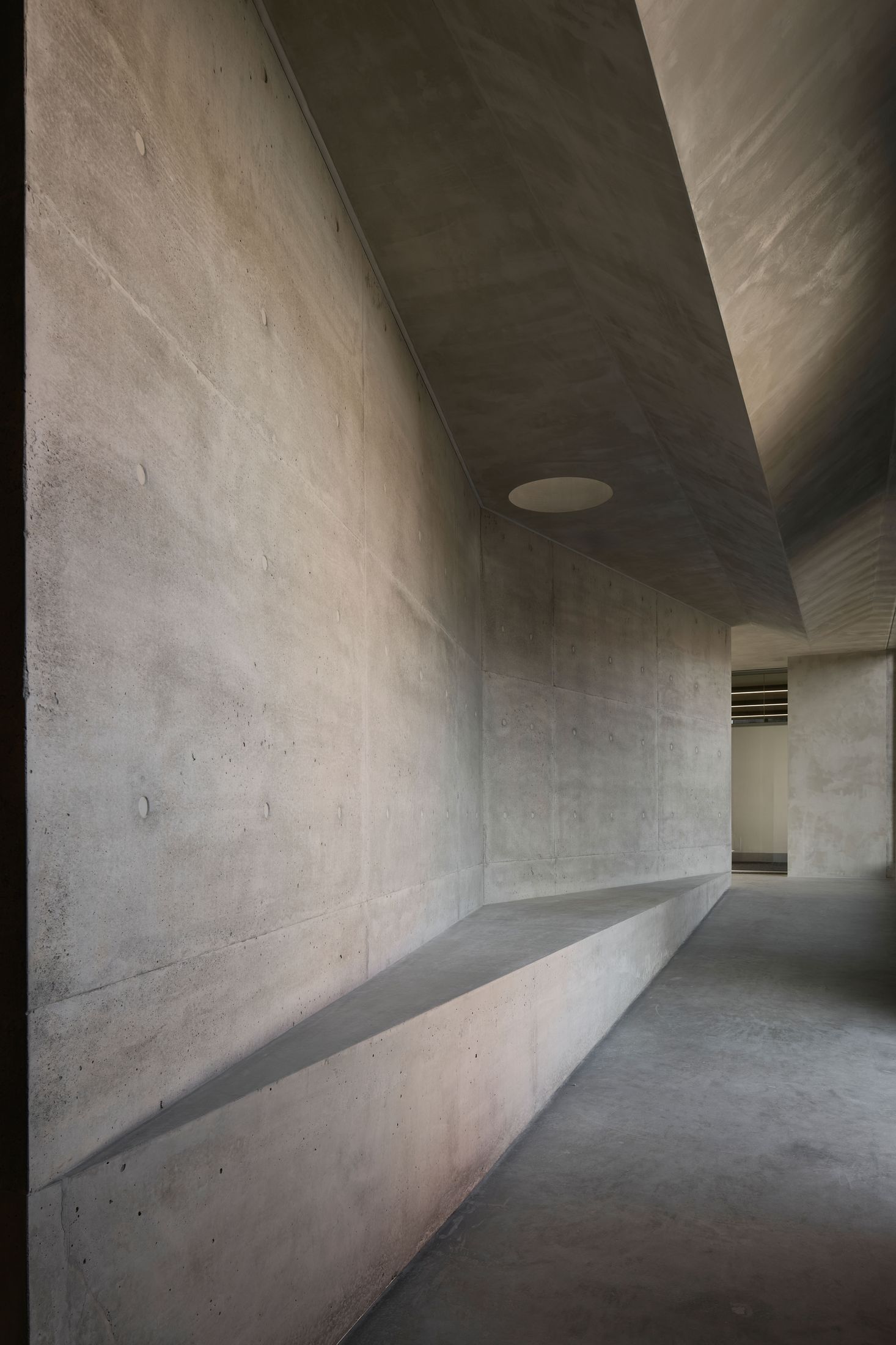 Yellowtrace Farrell Wray Architects Gallery For A Tree Marcellin Flyover Photo Peter Clarke 45 Opt80