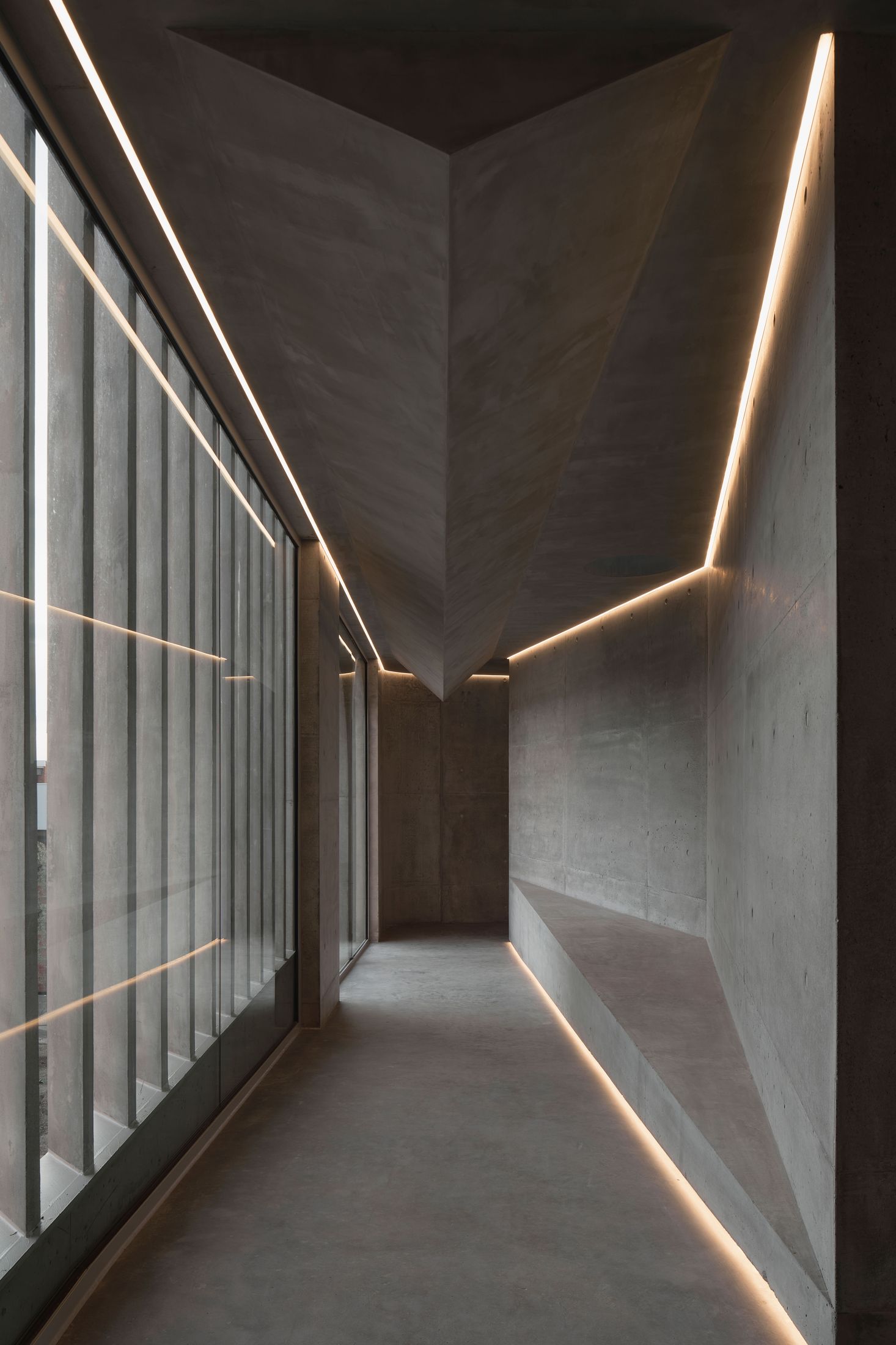 Yellowtrace Farrell Wray Architects Gallery For A Tree Marcellin Flyover Photo Peter Clarke 56 Opt80