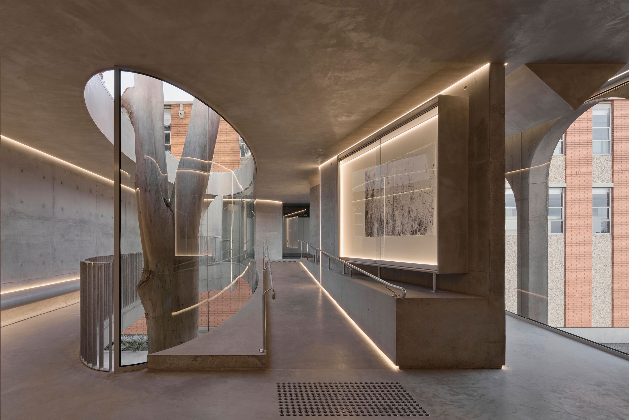 Yellowtrace Farrell Wray Architects Gallery For A Tree Marcellin Flyover Photo Peter Clarke 58 Opt80