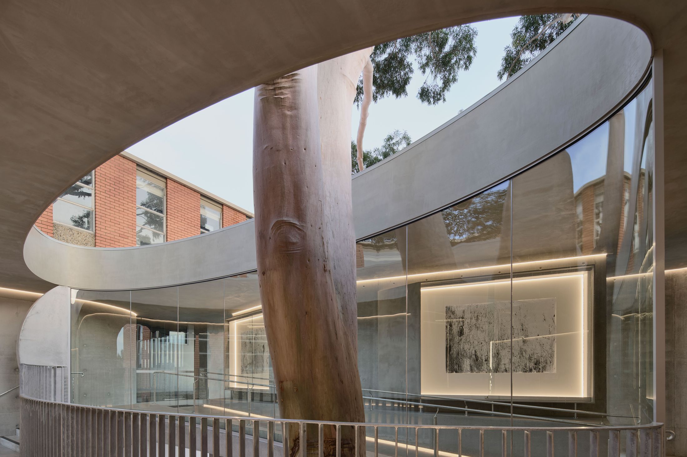 Yellowtrace Farrell Wray Architects Gallery For A Tree Marcellin Flyover Photo Peter Clarke 59 Opt80