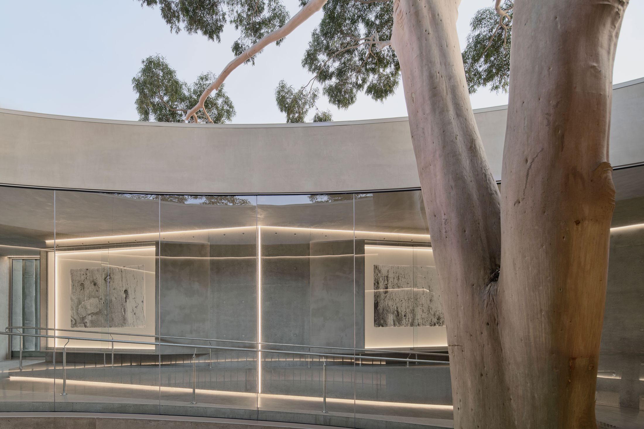 Yellowtrace Farrell Wray Architects Gallery For A Tree Marcellin Flyover Photo Peter Clarke 61 Opt80