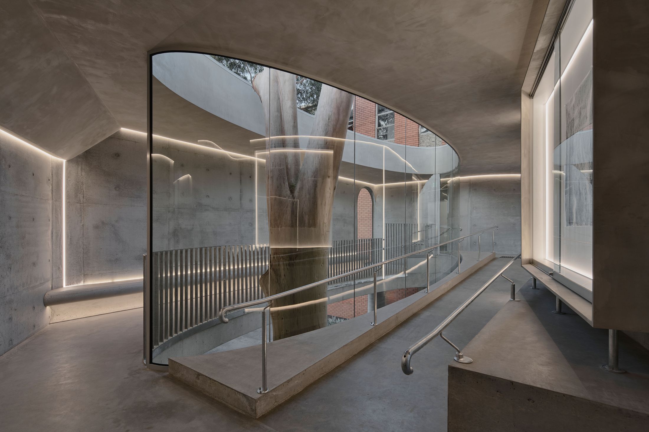 Yellowtrace Farrell Wray Architects Gallery For A Tree Marcellin Flyover Photo Peter Clarke 63 Opt80
