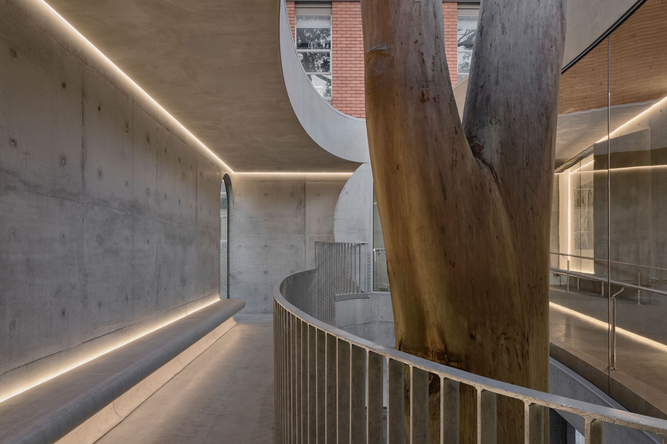 Yellowtrace Farrell Wray Architects Gallery For A Tree Marcellin Flyover Photo Peter Clarke 65 Opt80
