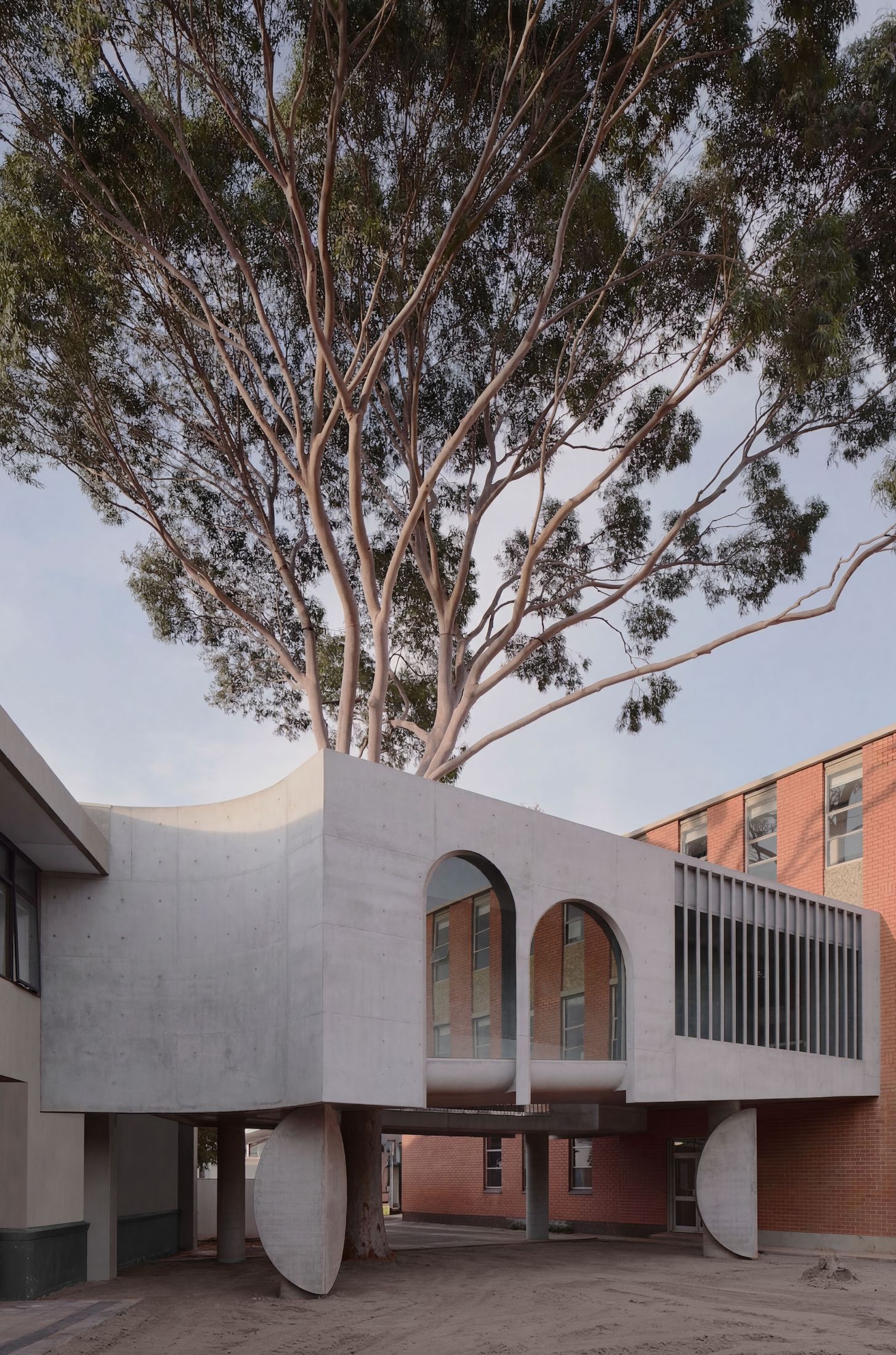 Yellowtrace Farrell Wray Architects Gallery For A Tree Marcellin Flyover Photo Peter Clarke 68 Opt80