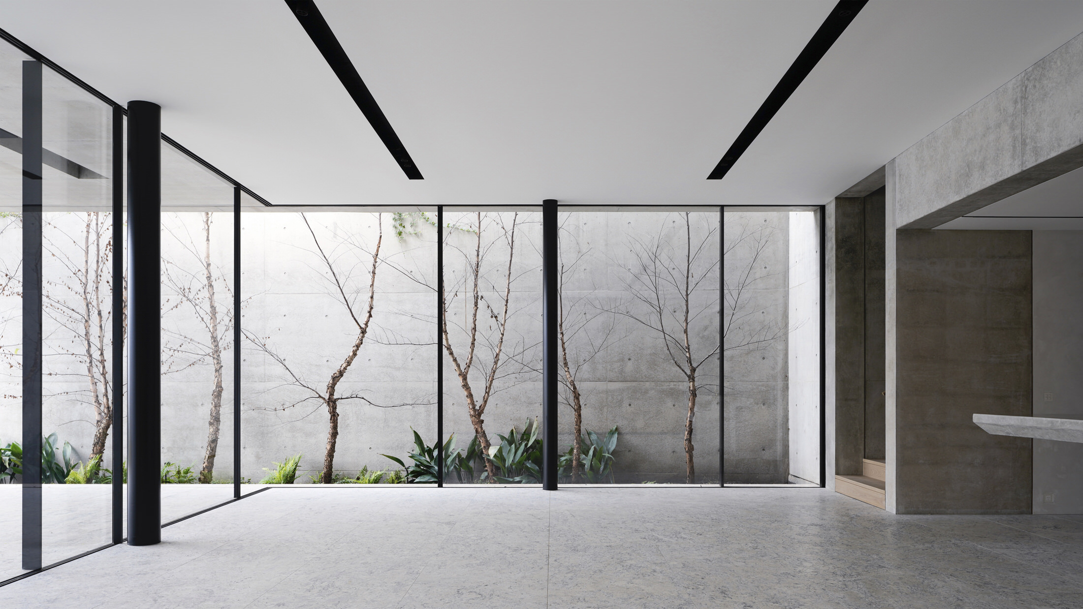 Yellowtrace Tobias Partners Lavender Bay House Photo Justin Alexander 04