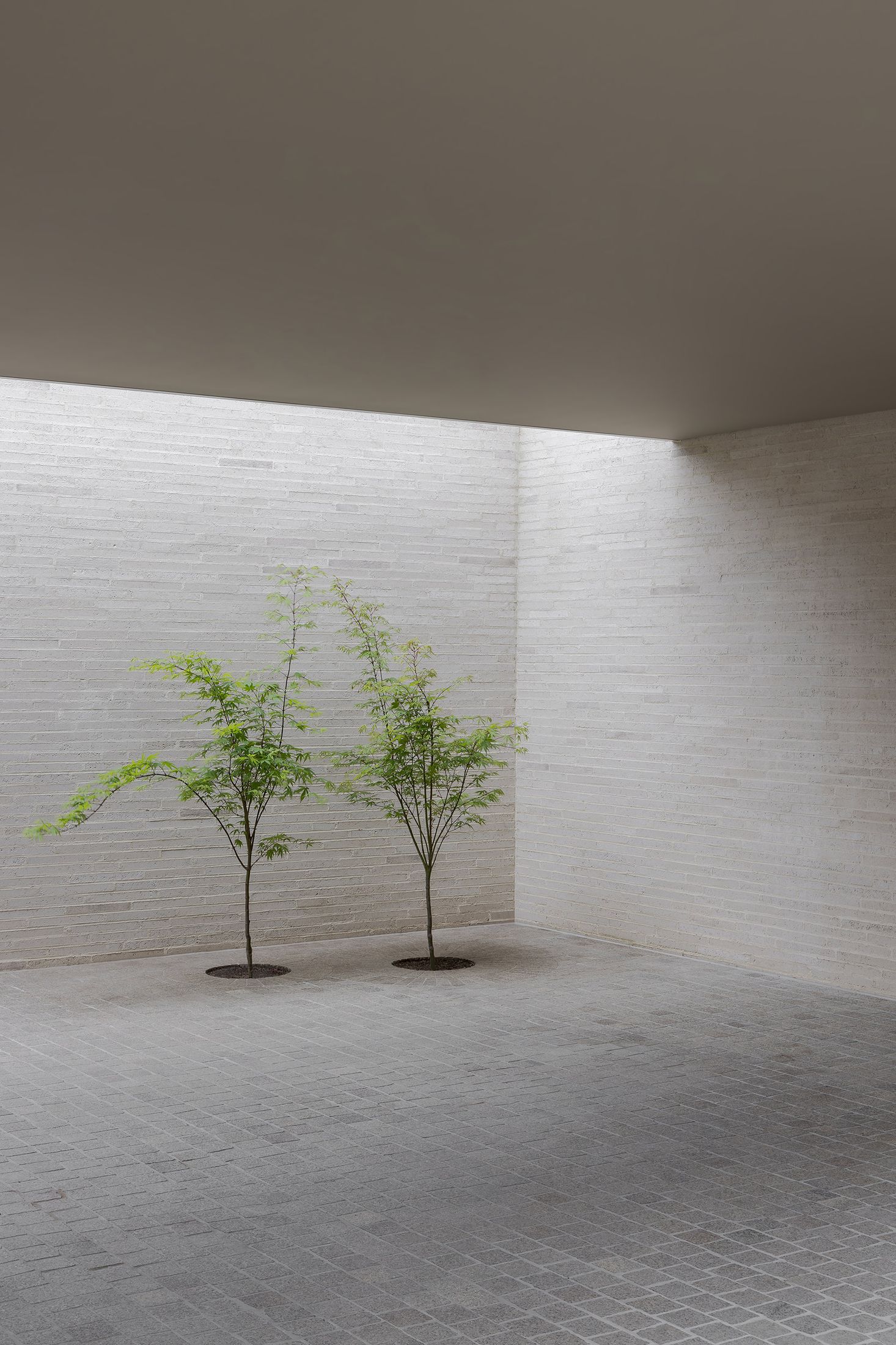 Yellowtrace B E Architecture Casa Piva Malvern Photo Timothy Kaye 08 Opt80